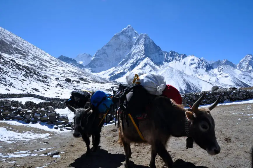 Trek to Everest Base Camp