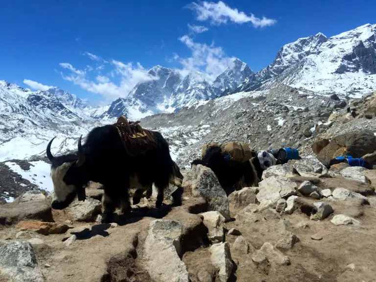 Trek to Everest Base Camp