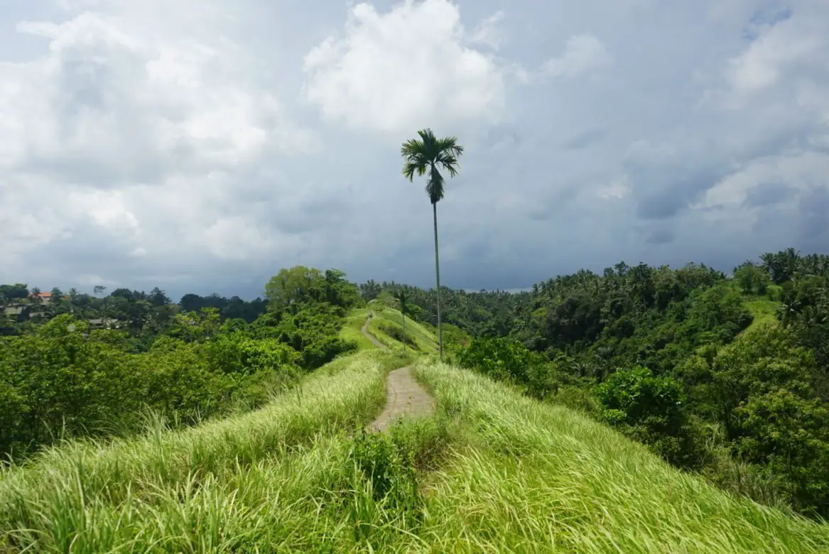 Photos of Indonesia 