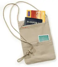 travel money pouch target