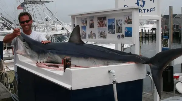 Fishing Charters Nantucket