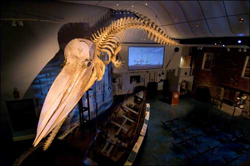 Whaling Museum 