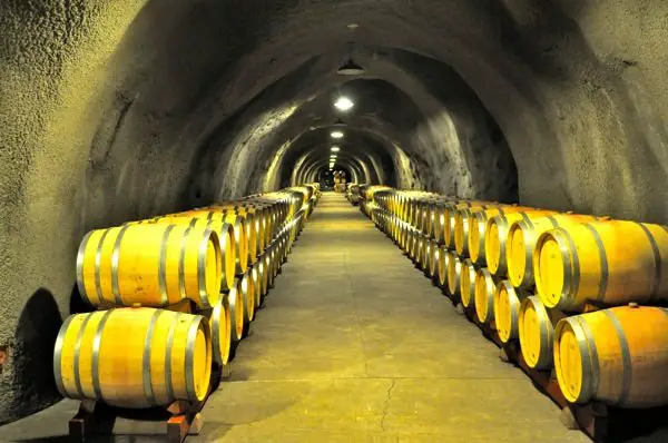 cellar at Inglenook