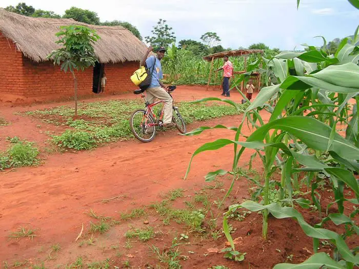 wwoof Sierra Leone