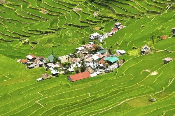 Green Rice Terraces of Batad
