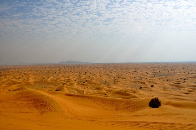 Dune Bashing Dubai