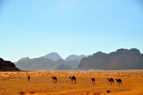 Wadi Rum Jordan