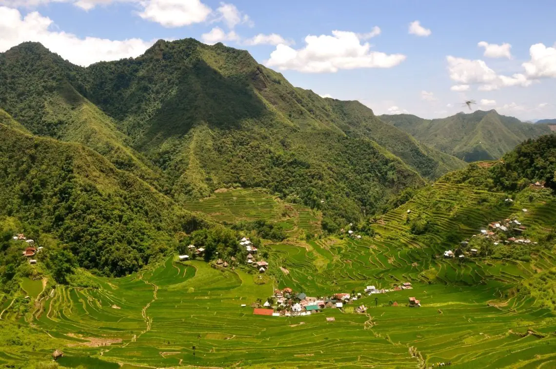 The Philippines Rice Terraces