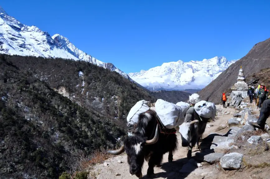 Trek to Everest Base Camp