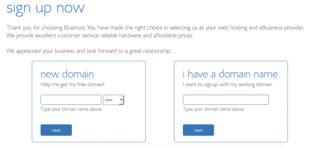 Picking a Domain Name