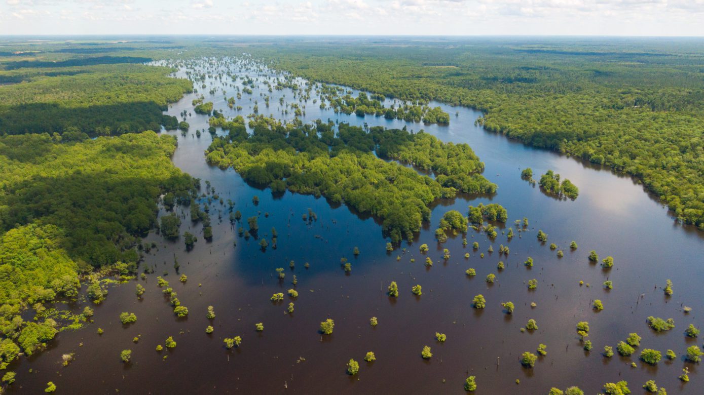 Dead Lakes, Florida