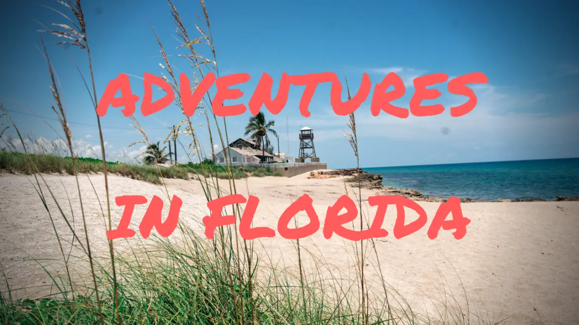 Top Things to do in Ocala/Marion County and Martin County, Florida