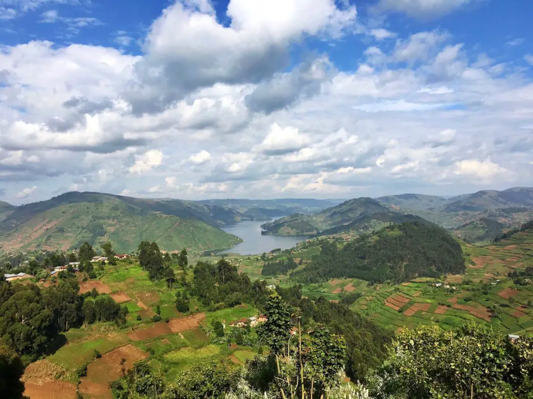 Gorilla Trekking in Uganda