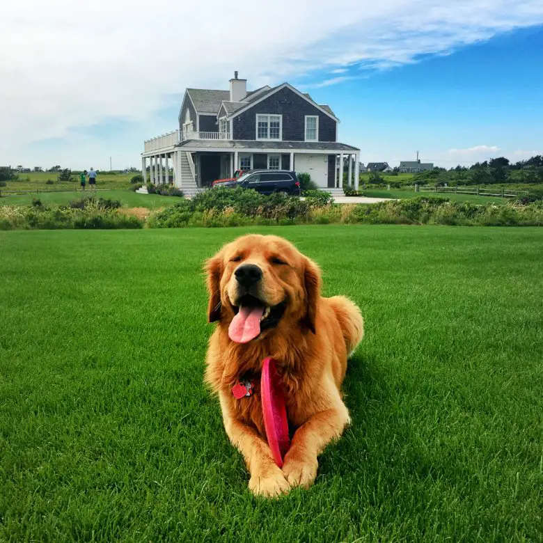 Nantucket Weekend Guide