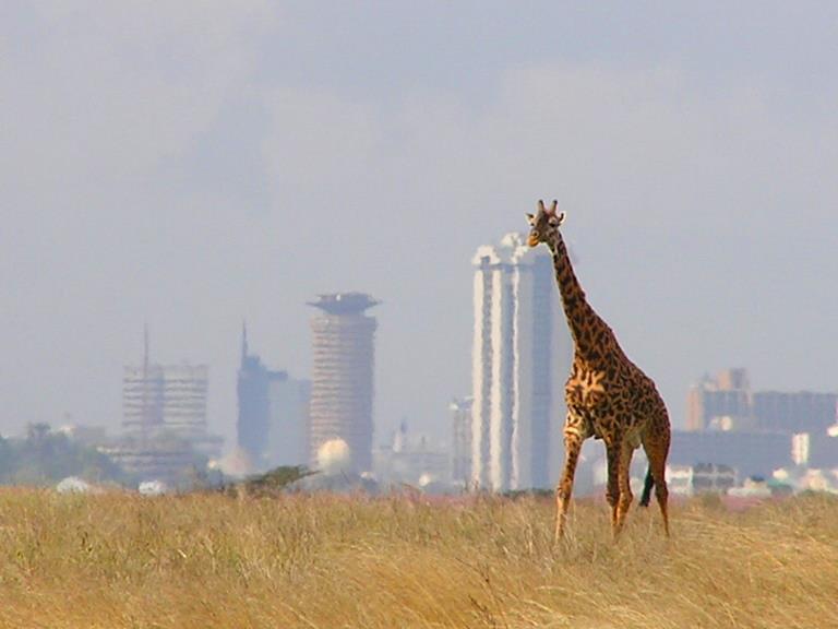 How to Plan a Layover in Nairobi