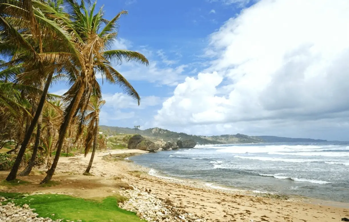 Soup Bowl Barbados