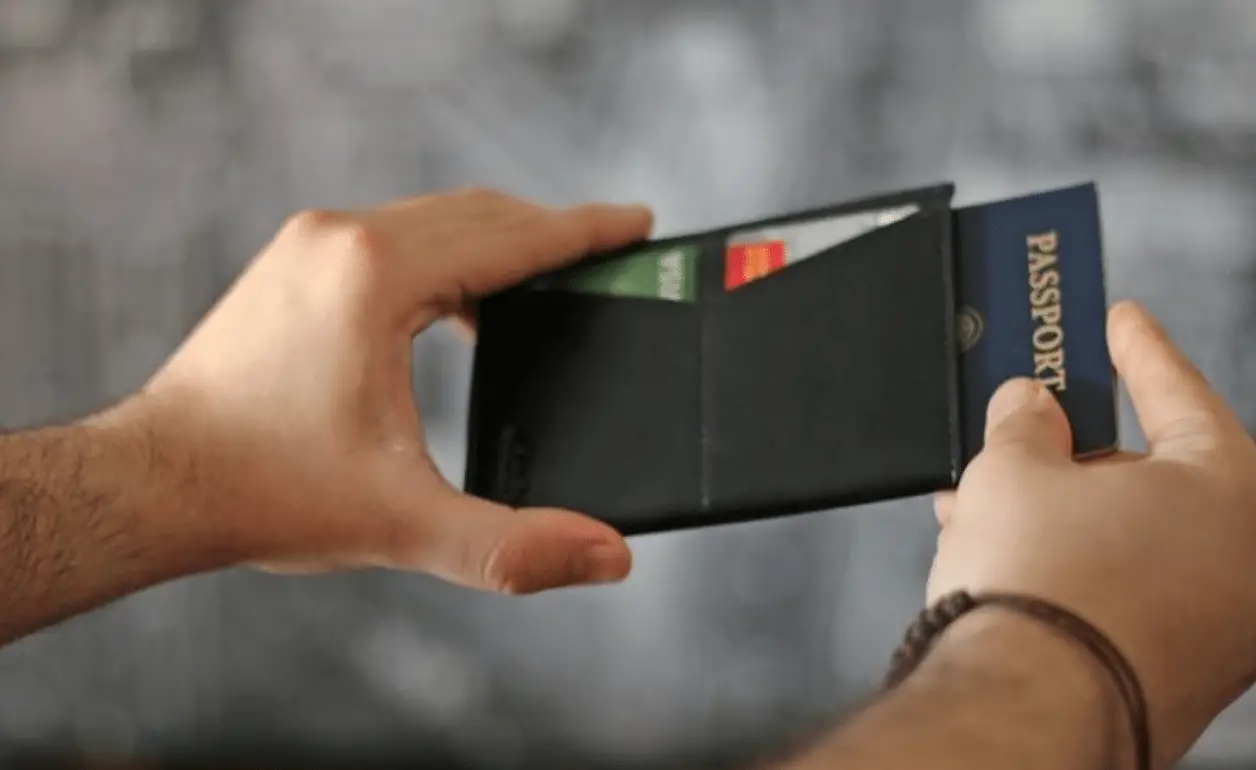 Dash Minimalist Travel Wallet