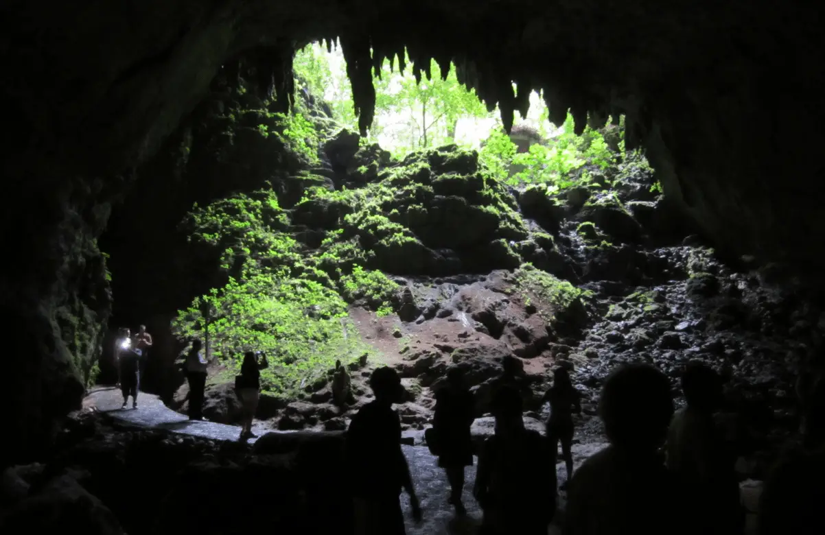 Camuy River Cave Park