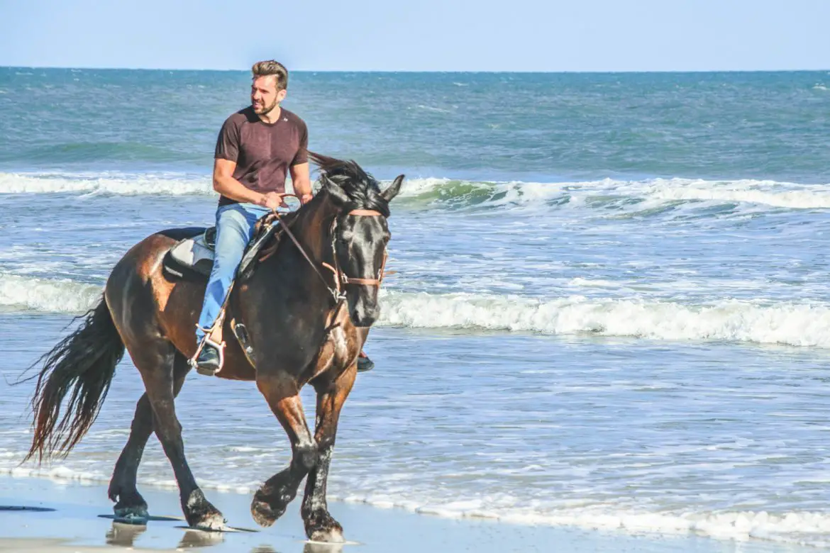 Horseback Riding on the Beaches of Hatteras Island